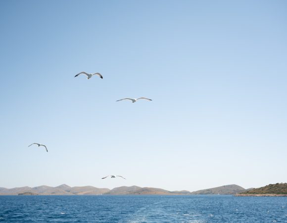 Sailing among the Kornati Islands